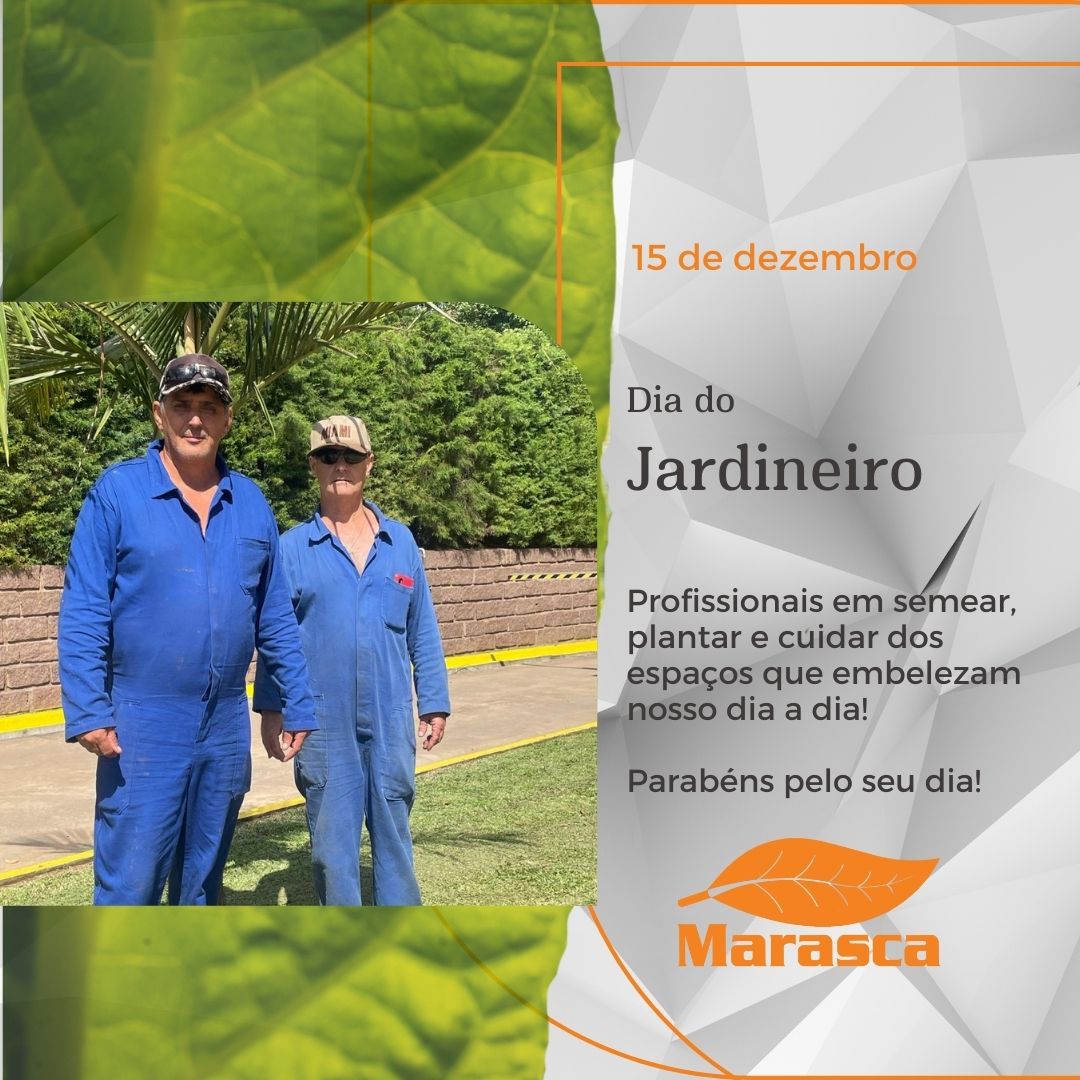 15 de dezembro