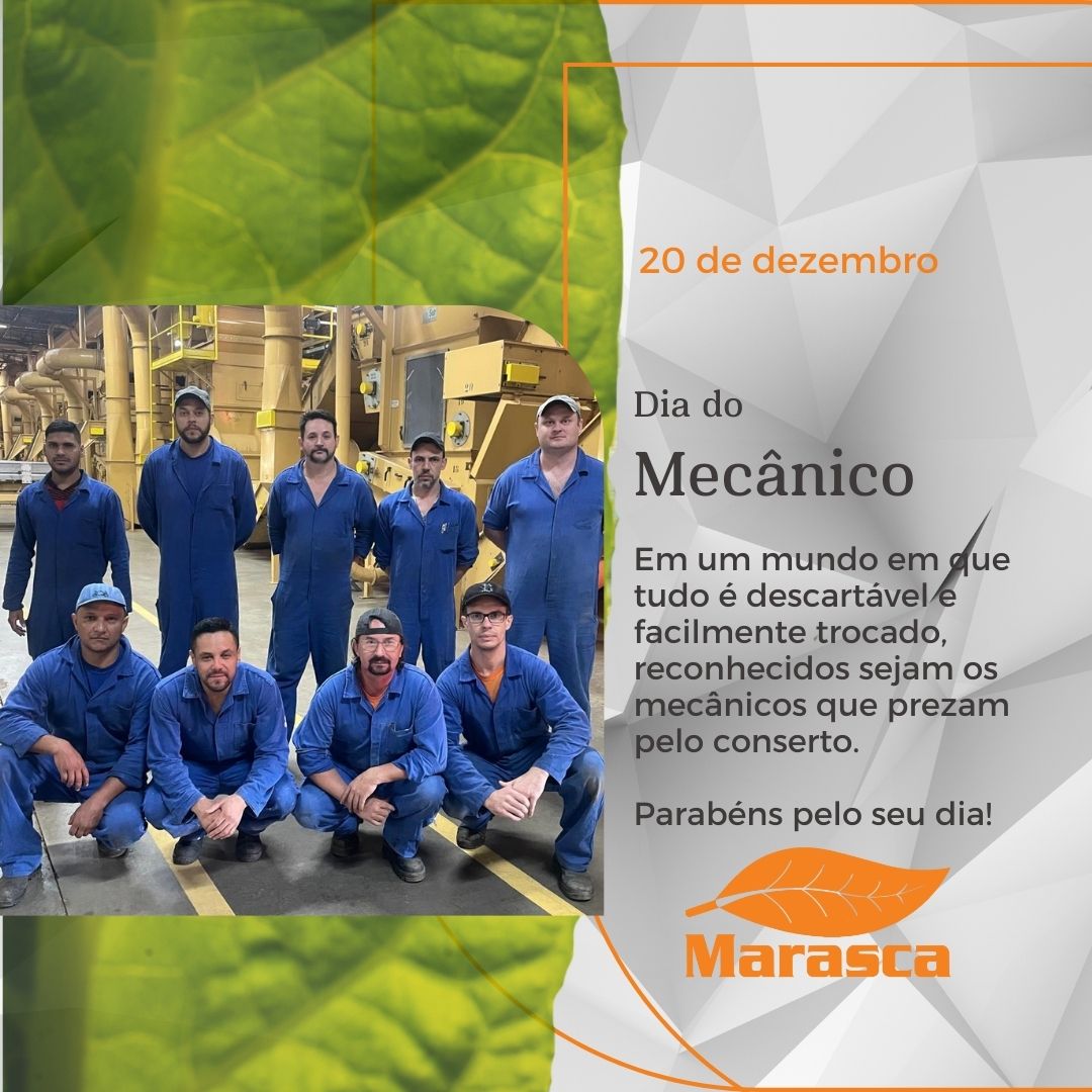 Dia 20 de dezembro – Dia do mecânico
