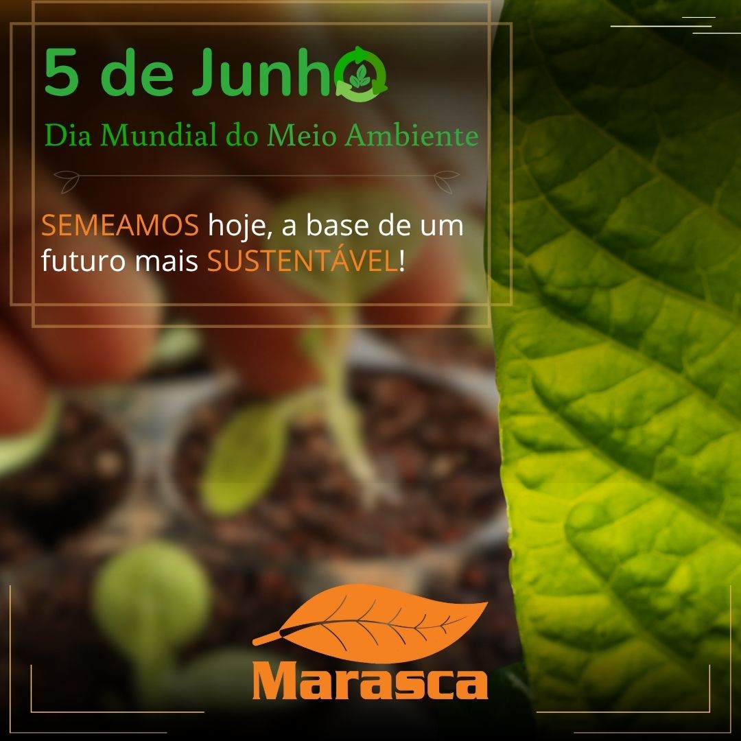 5 de Junho